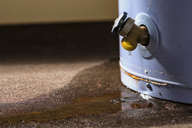 Best Mold removal after water damage  in Pennsburg, PA