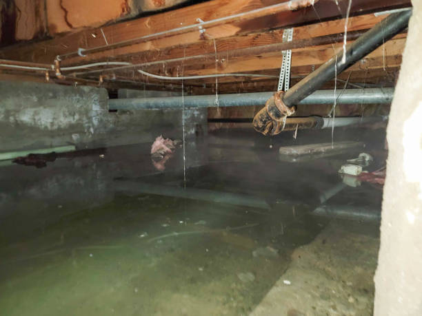 Best Water damage cleanup near me  in Pennsburg, PA