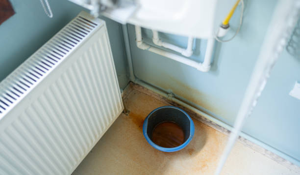 Best Carpet water damage restoration  in Pennsburg, PA